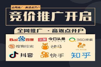 从小白到高手：百度竞价赚钱全记录